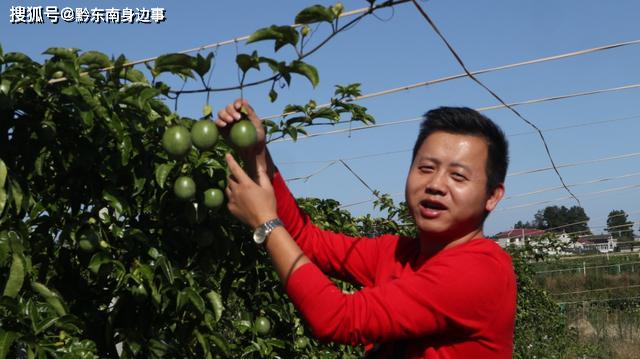 生产的蔬菜瓜果 在省外太“俏市”ag旗舰厅厉害：贵州黄平旧州大坝(图3)